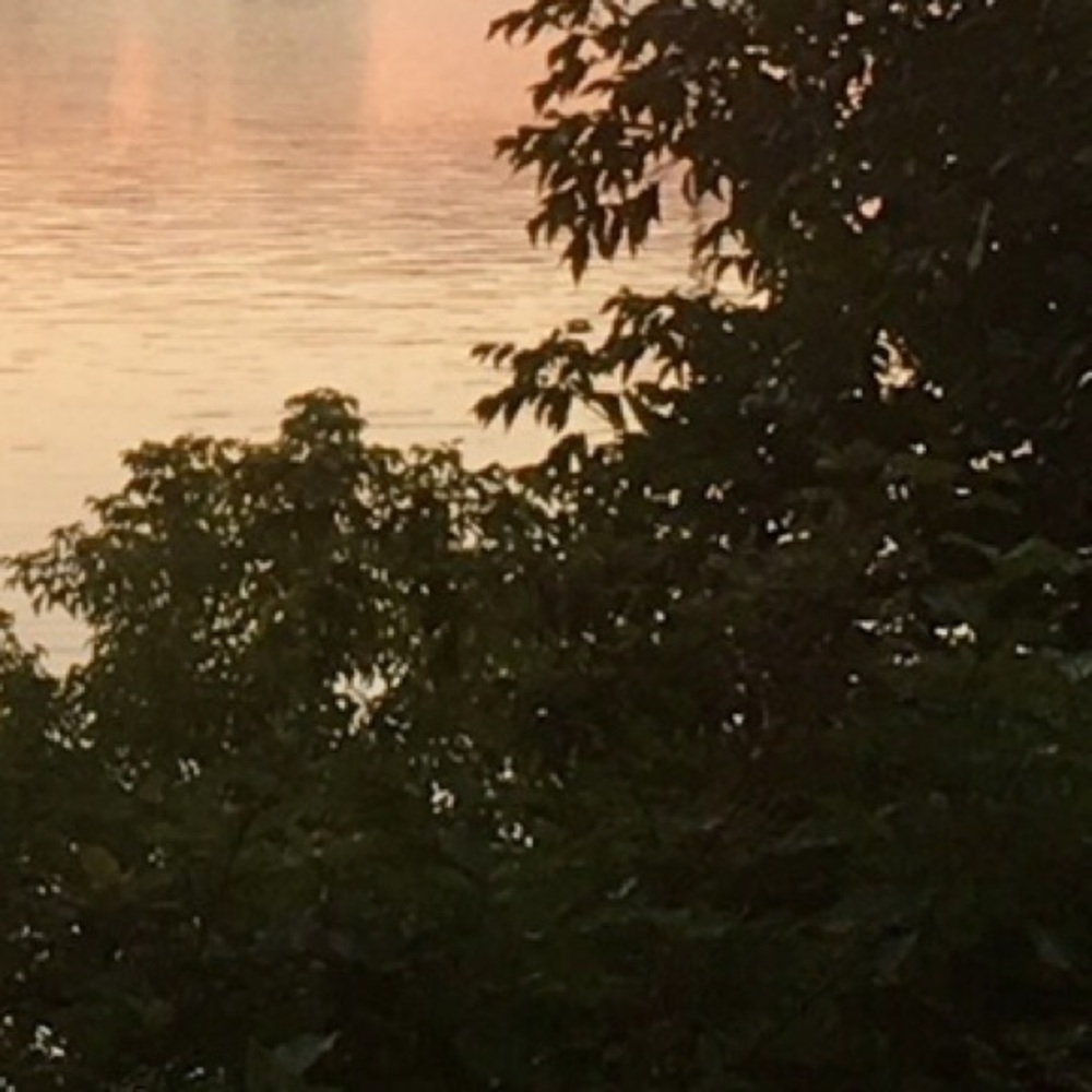 Meet your Posher, Maddie